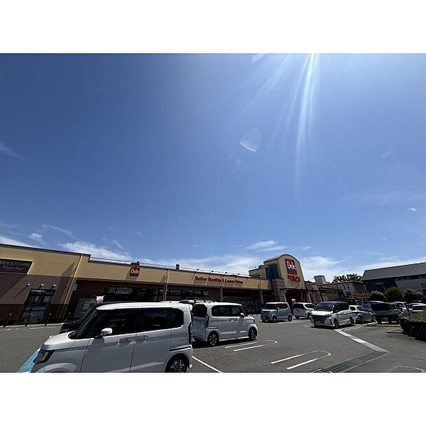 ベルクすねおり店