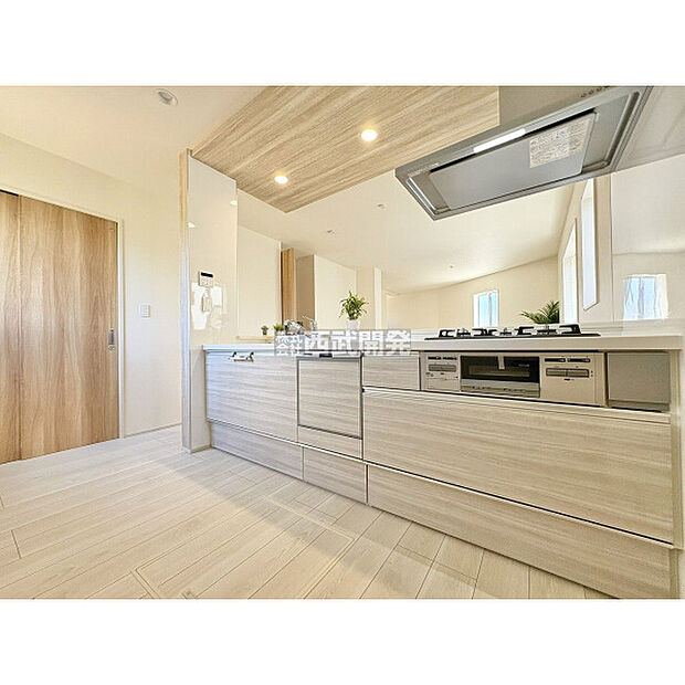 令和7年7月20日撮影