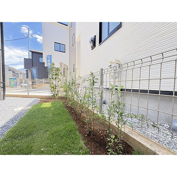 令和7年7月20日撮影