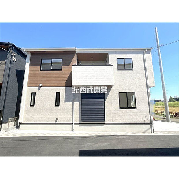 2025年9月3日撮影