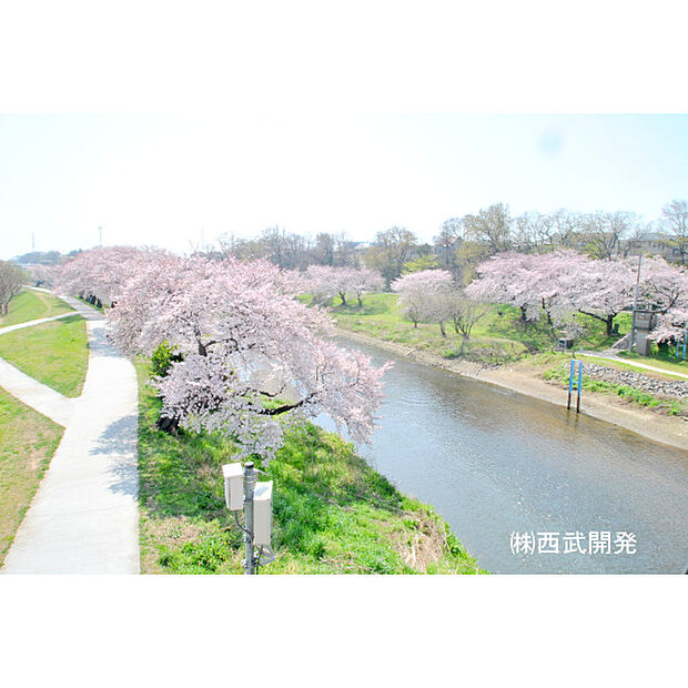 いろは親水公園