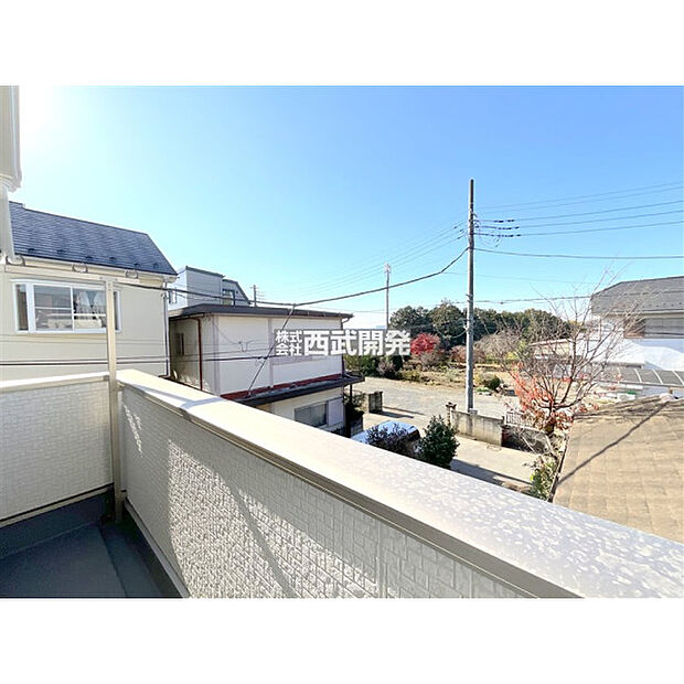 現地からの眺望