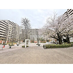 シーズウィッシュ志木