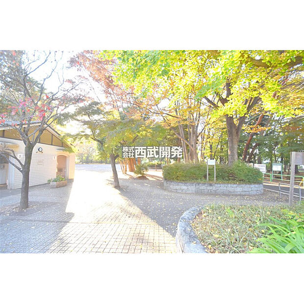 大泉公園