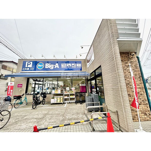 ビッグ・エー富士見水谷東店
