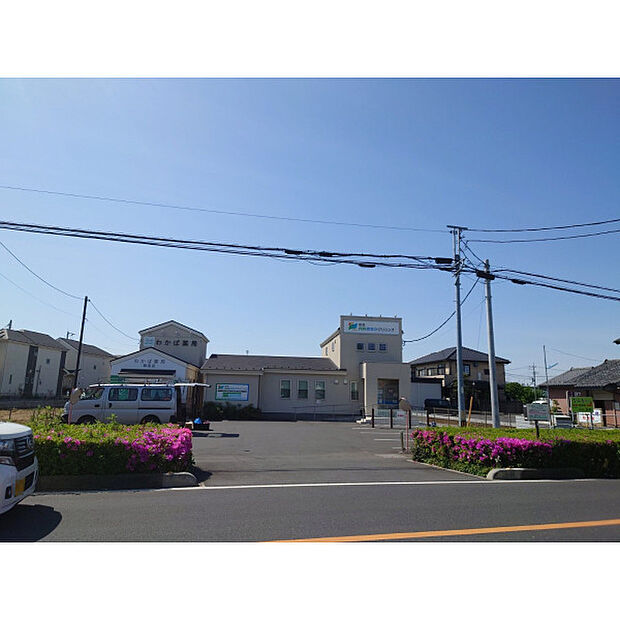 新座内科おなかクリニック