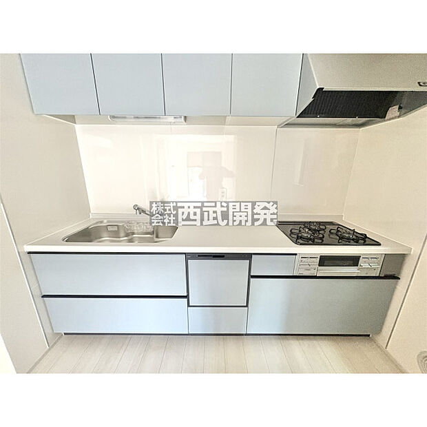 2025年11月29日撮影