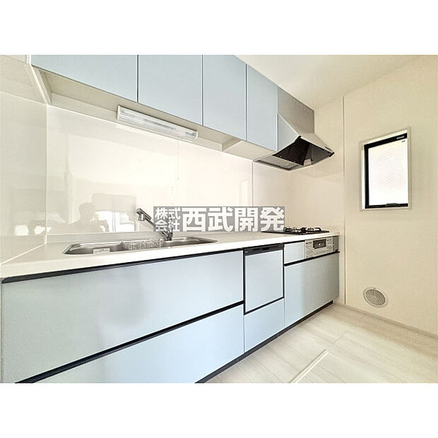 2025年11月29日撮影