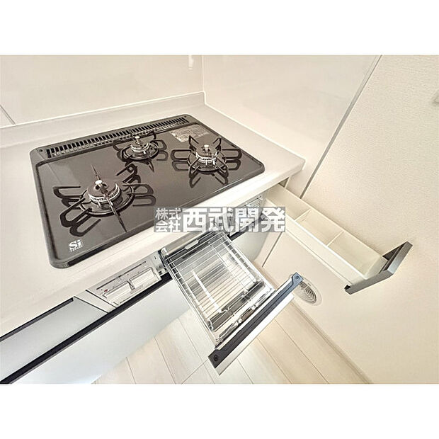 2025年11月29日撮影