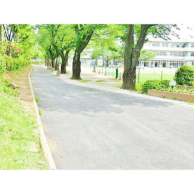 新座市立栄小学校