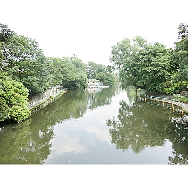 武蔵関公園