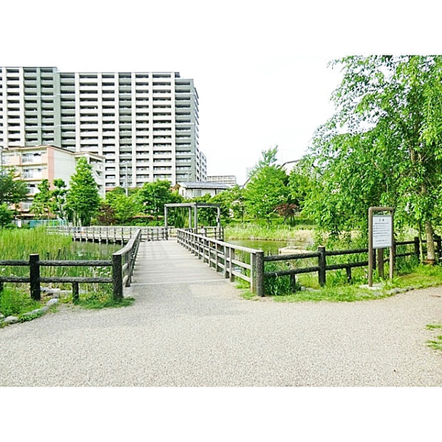 西東京いこいの森公園