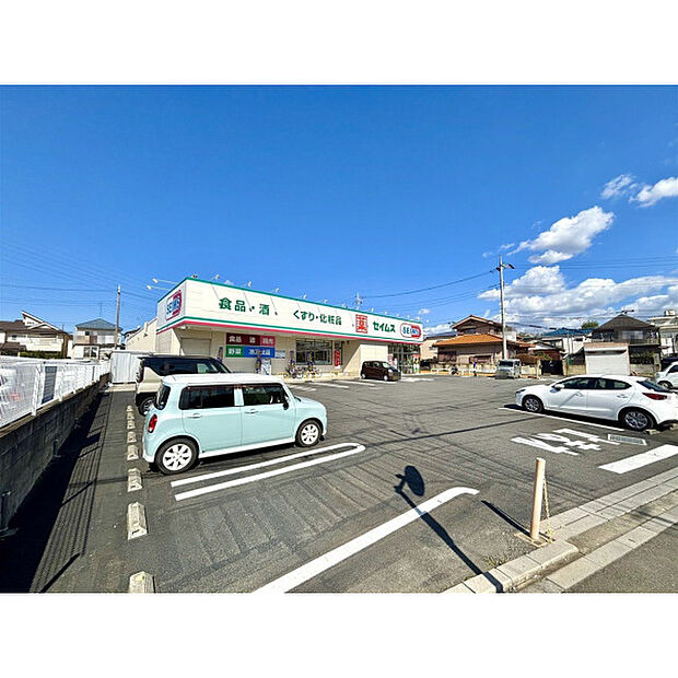 ドラッグセイムス新座片山3丁目店