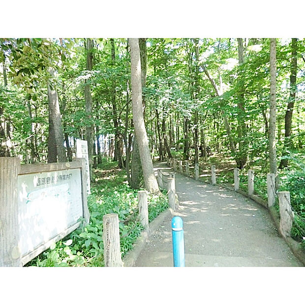 西原自然公園