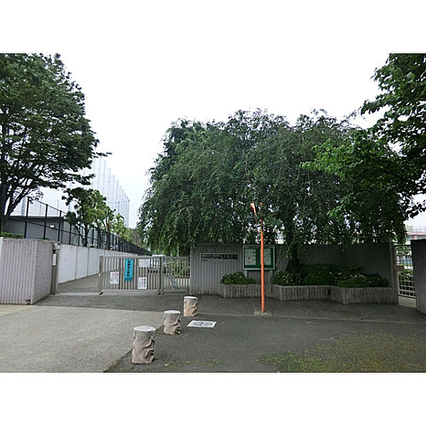 練馬区立大泉学園桜中学校