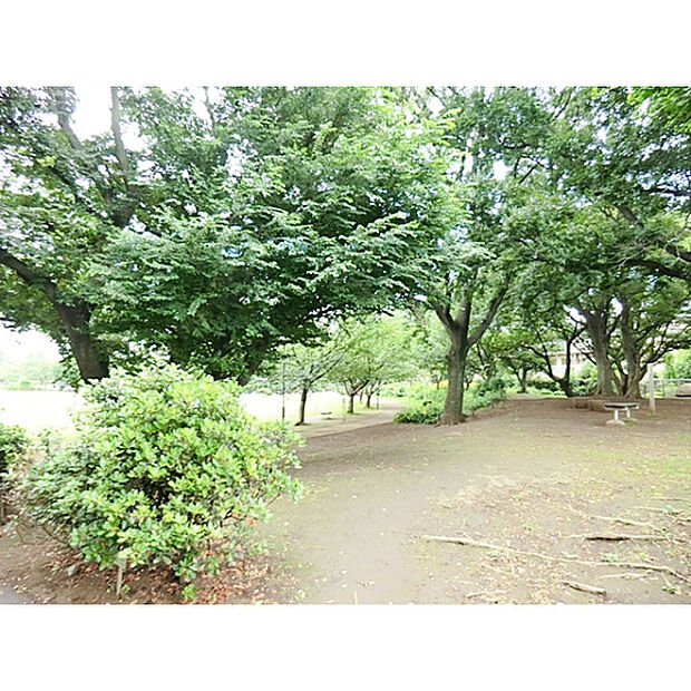 立野公園