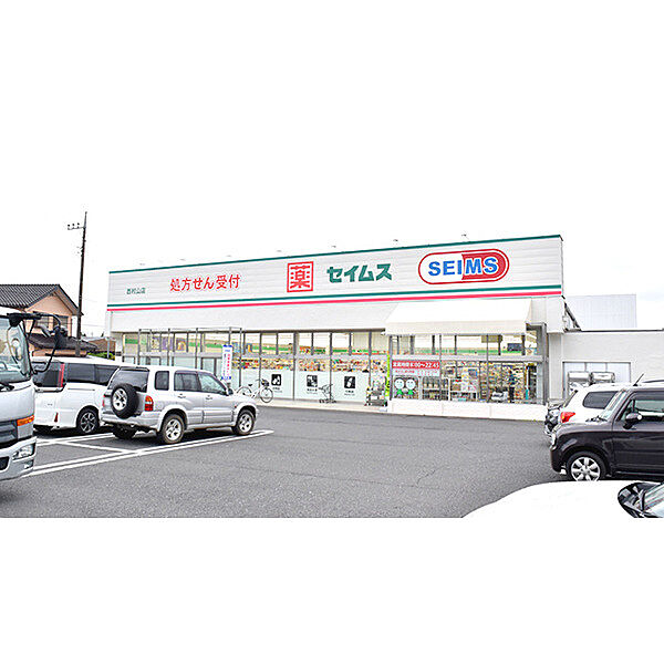 ドラッグセイムス西村山店
