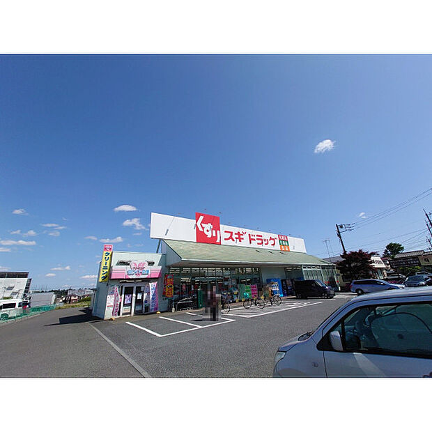 スギドラッグ新座店