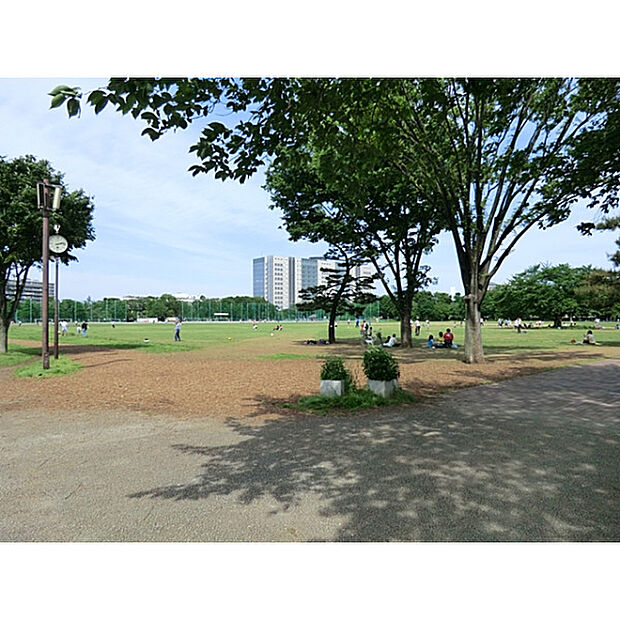 武蔵野中央公園