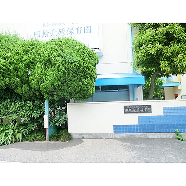 田無北原保育園