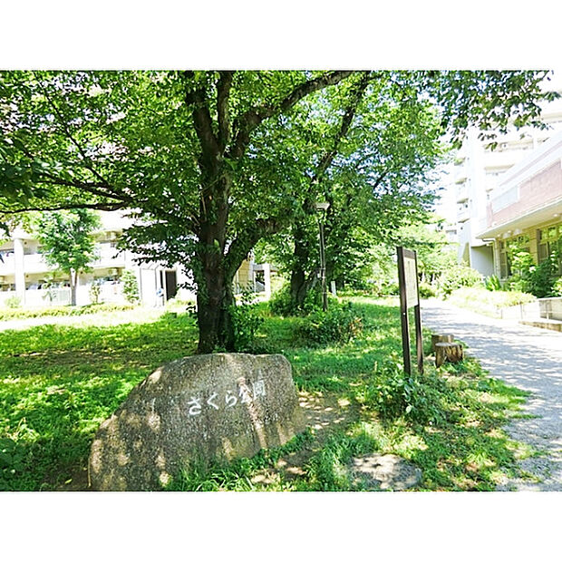 さくら公園