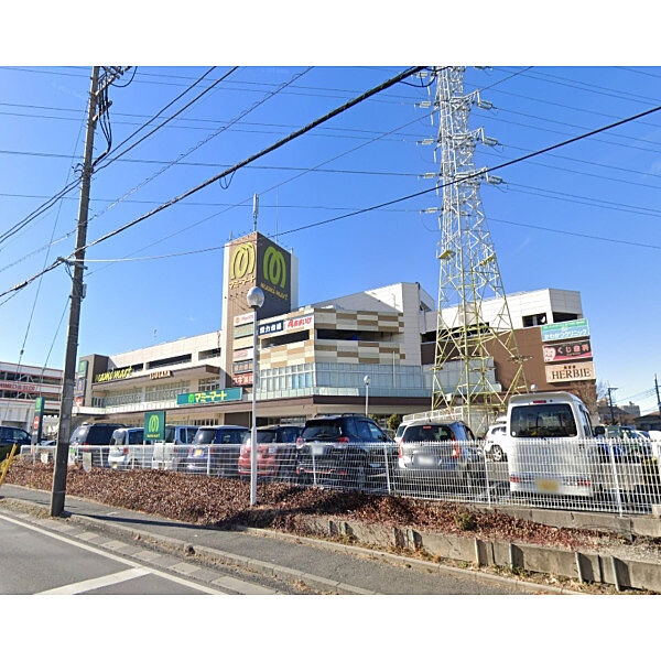 マミーマート所沢山口店