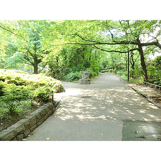春の風公園
