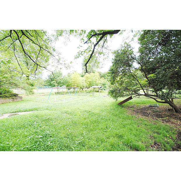 白山公園