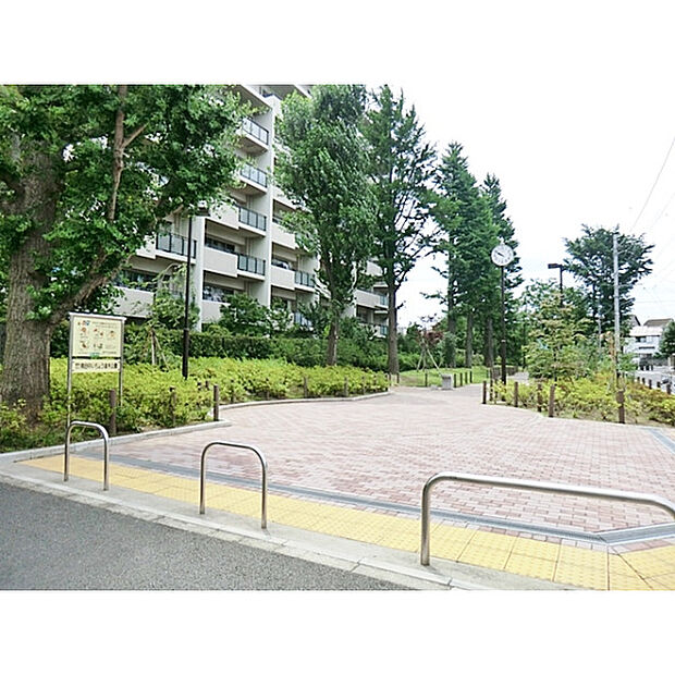 南田中いちょう並木公園