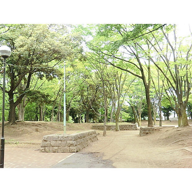 滝山公園