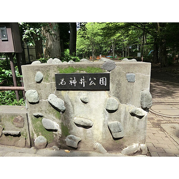 石神井公園