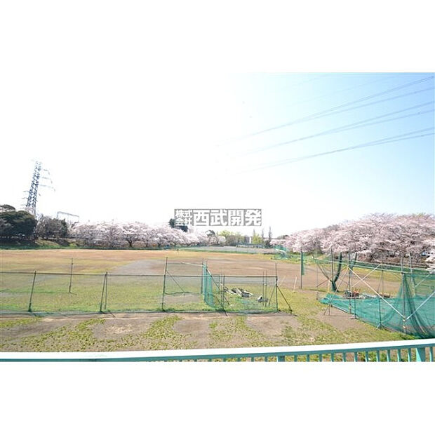 白山公園