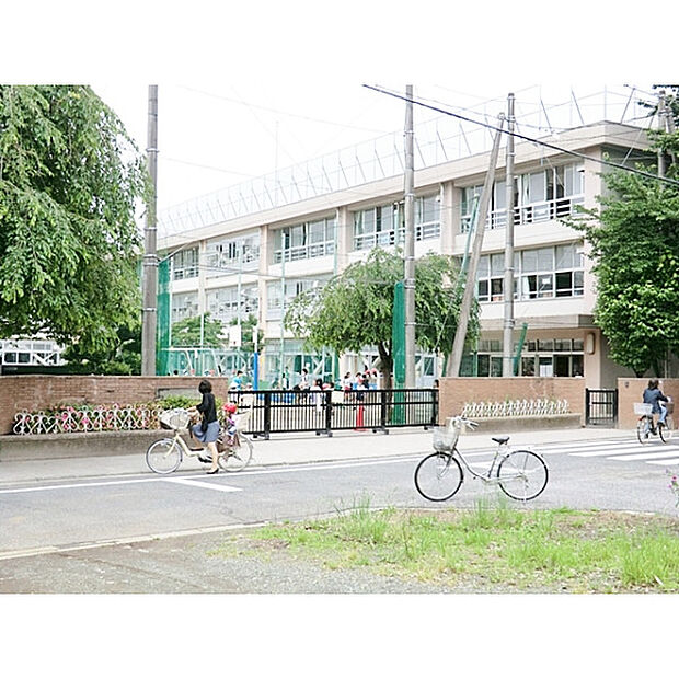 石神井台小学校