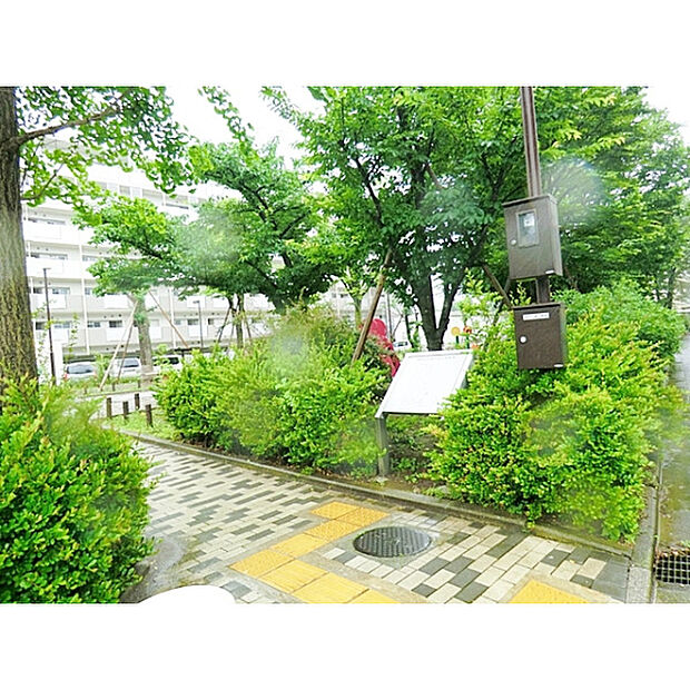 東大泉公園