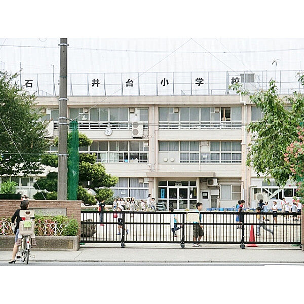 周辺を拡大表示
