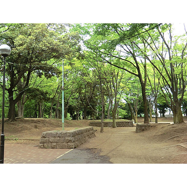 滝山公園