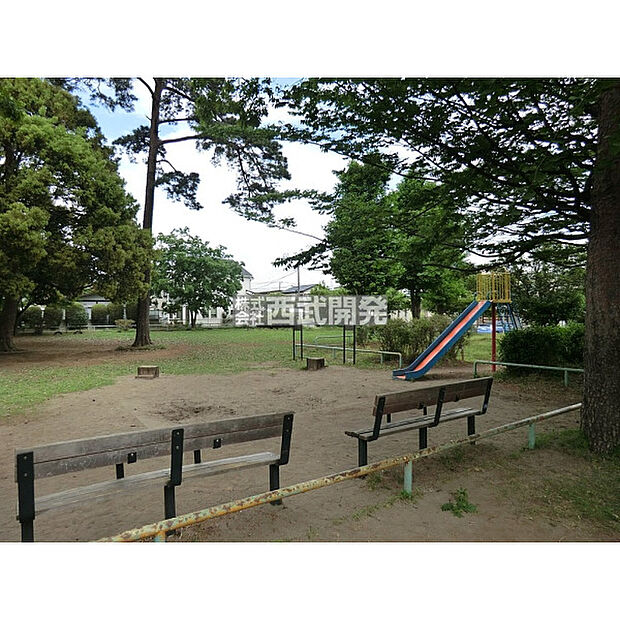 ひまわり公園