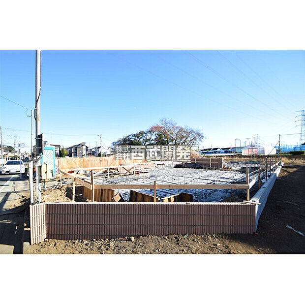 令和7年11月28日撮影