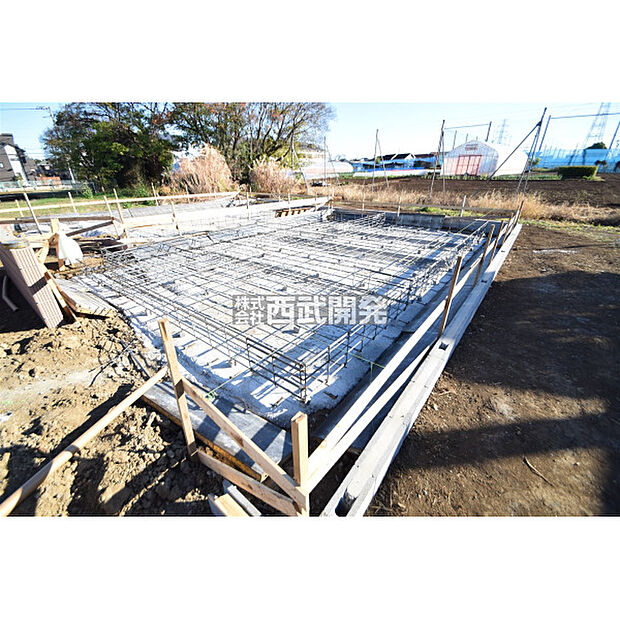 令和7年11月28日撮影