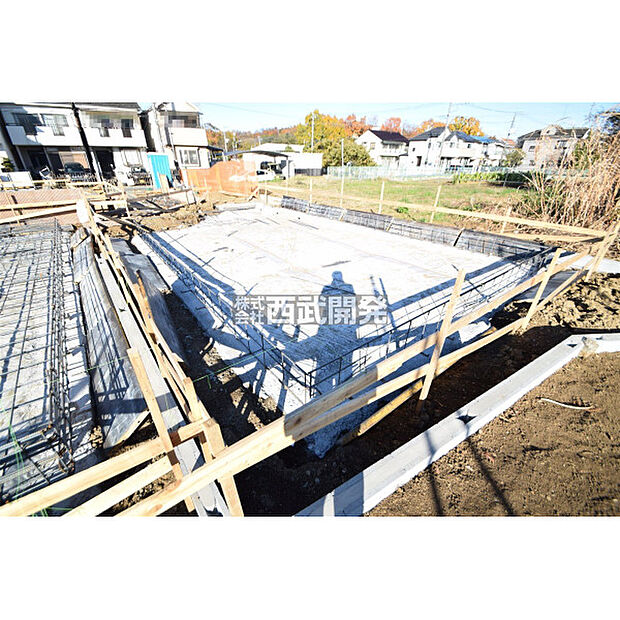 令和7年11月28日撮影