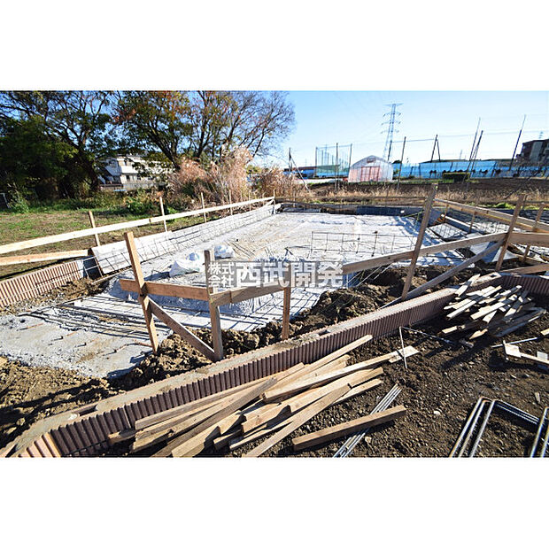 令和7年11月28日撮影