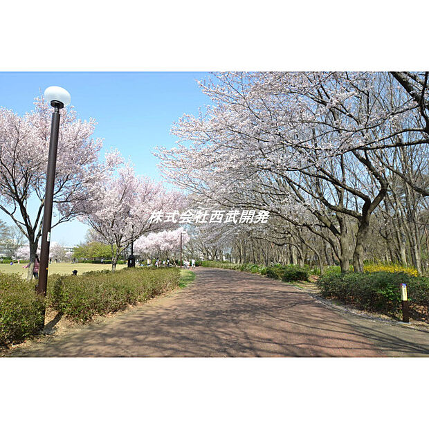 東村山中央公園