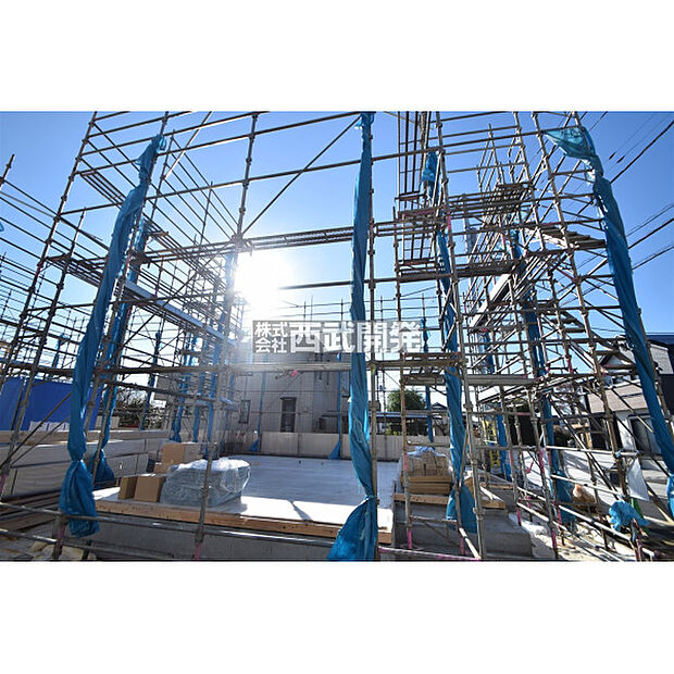 令和7年11月28日撮影