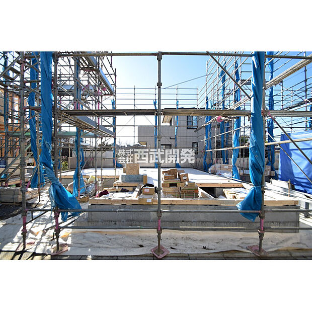 令和7年11月28日撮影