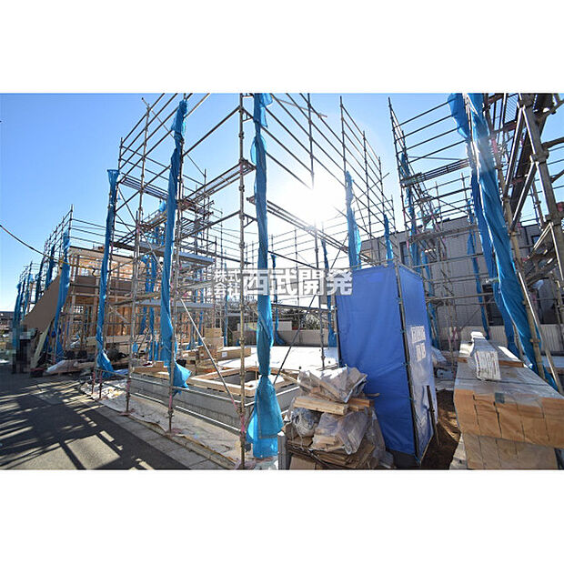 令和7年11月28日撮影