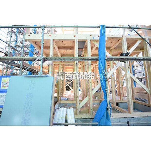 令和7年11月28日撮影