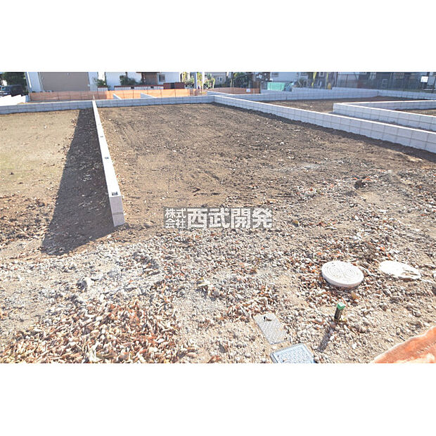 令和7年11月17日撮影