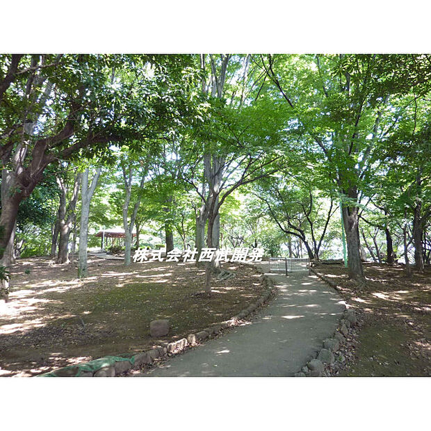 上仲原公園