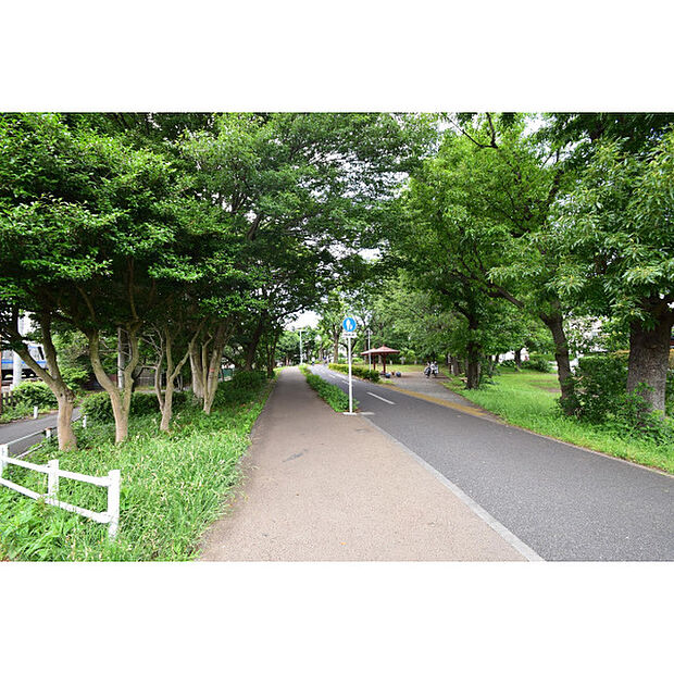 多摩湖自転車道