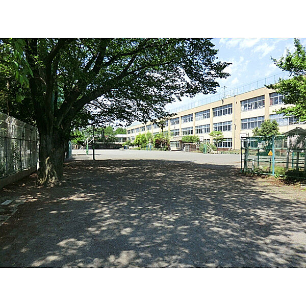 第八小学校